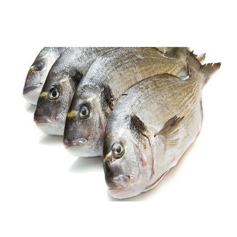 4 Seabream