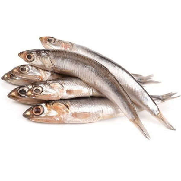 Anchovies