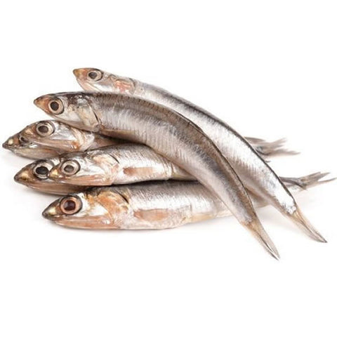 Anchovies - www.readingqualityfish.co.u