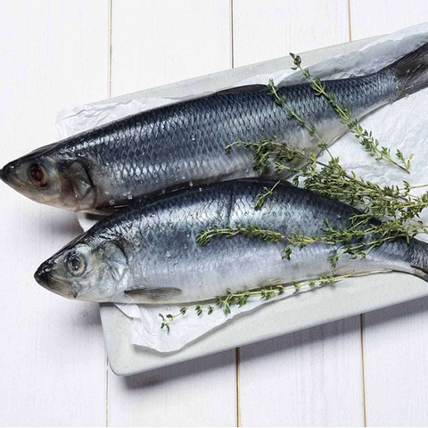 Herrings