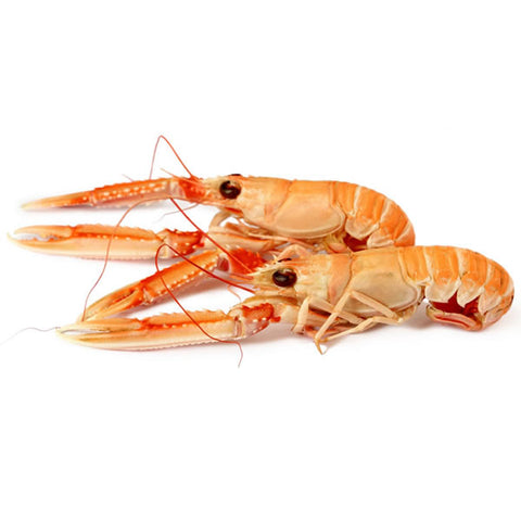 Langoustines