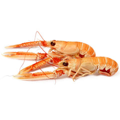 Langoustines