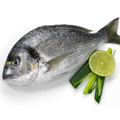 Seabream - www.readingqualityfish.co.u