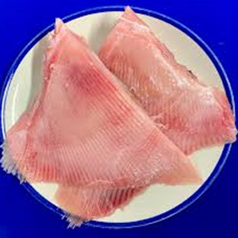 Skate Wing (skinned)
