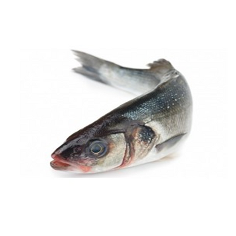 Wild Seabass kg
