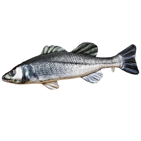 5 Seabass