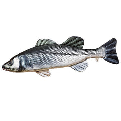 5 Seabass