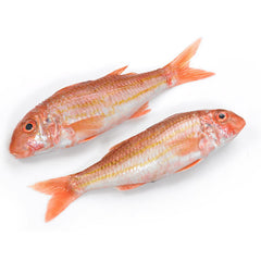 Red Mullet Fish